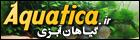 گیاهان آبزی